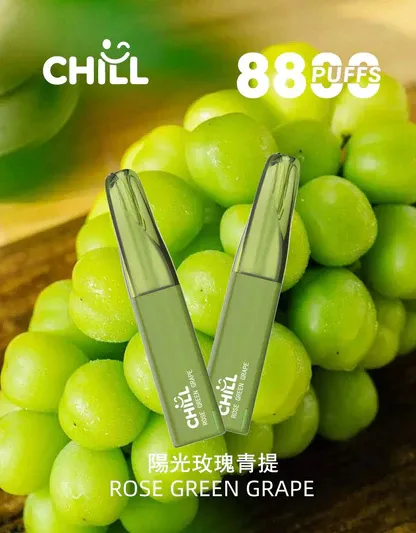 001-06.webp CHILL鴨嘴獸 8800口拋棄式|12W爆發防漏,3%丁鹽,台灣正品現貨快速出貨