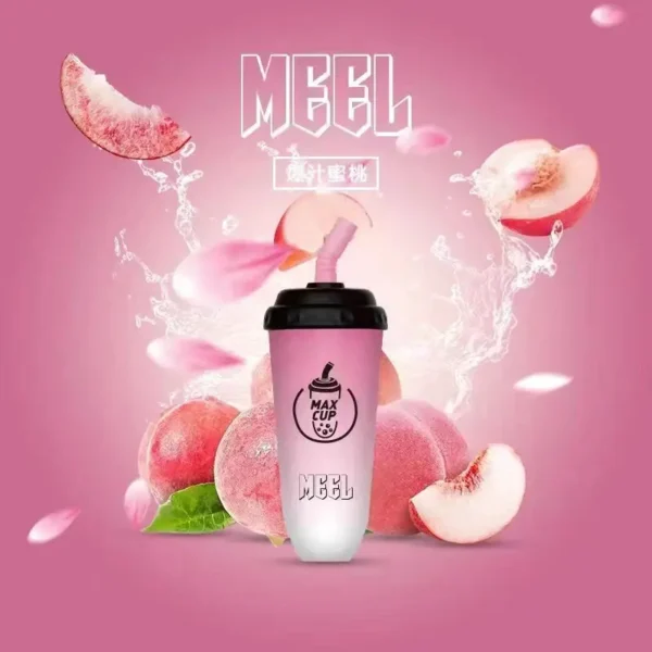 MEEL奶茶杯 6000口拋棄式電子煙｜15ml快充3%丁鹽，台灣現貨正品安全超取