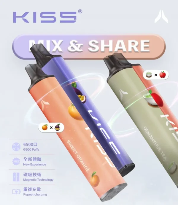 16e7e587ed14c7fa690349074e7c8bf6.webp KIS5 鎧斯 6500口拋棄式|雙芯磁吸防漏,Type-C快充,台灣正品現貨快速出貨