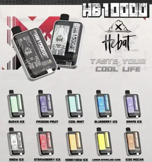 Hebat喜貝 10000口拋棄式｜LED螢幕防漏，Type-C快充，台灣正品現貨快速出貨
