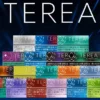 IQOS TEREA日版 加熱煙彈｜ILUMA專用日本原裝20支裝，台灣現貨正品安全超取