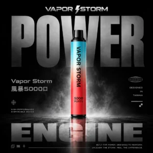 ChatGPT-Image-2026年6月18日-上午02_51_17.webp VAPOR STORM風暴 5000口拋棄式電子煙|Mesh網芯大容量,650mAh可充電,台灣正品現貨快速出貨