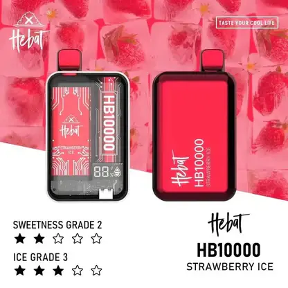 Hebat喜貝 10000口拋棄式｜LED螢幕防漏，Type-C快充，台灣正品現貨快速出貨