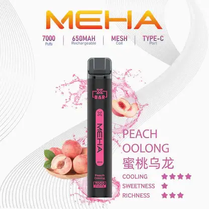 MEHA-XBAR-拋棄式-7000口小黑條-14.webp MEHA XBAR 魅嗨 7000口拋棄式電子煙|Mesh網芯強效涼感,650mAh可充電,台灣正品現貨快速出貨