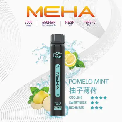 MEHA-XBAR-拋棄式-7000口小黑條-9.webp MEHA XBAR 魅嗨 7000口拋棄式電子煙|Mesh網芯強效涼感,650mAh可充電,台灣正品現貨快速出貨