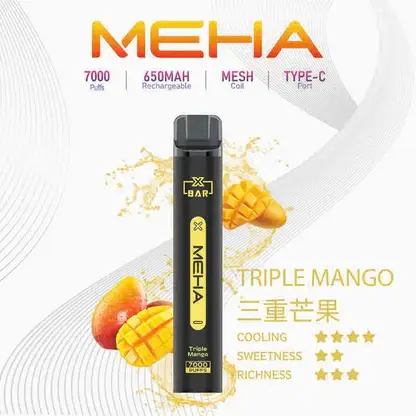 MEHA-XBAR-拋棄式-7000口小黑條.webp MEHA XBAR 魅嗨 7000口拋棄式電子煙|Mesh網芯強效涼感,650mAh可充電,台灣正品現貨快速出貨