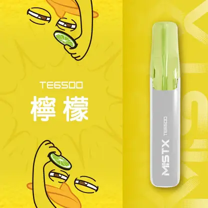 Mist X 鴨嘴獸 6500口拋棄式電子煙｜650mAh可充電，水果涼感，台灣正品現貨快速出貨