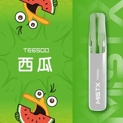 Mist X 鴨嘴獸 6500口拋棄式電子煙｜650mAh可充電，水果涼感，台灣正品現貨快速出貨