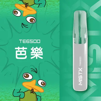 Mist X 鴨嘴獸 6500口拋棄式電子煙｜650mAh可充電，水果涼感，台灣正品現貨快速出貨