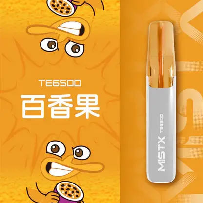 Mist X 鴨嘴獸 6500口拋棄式電子煙｜650mAh可充電，水果涼感，台灣正品現貨快速出貨
