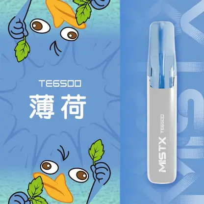 Mist X 鴨嘴獸 6500口拋棄式電子煙｜650mAh可充電，水果涼感，台灣正品現貨快速出貨
