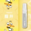 Mist X 鴨嘴獸 6500口拋棄式電子煙｜650mAh可充電，水果涼感，台灣正品現貨快速出貨