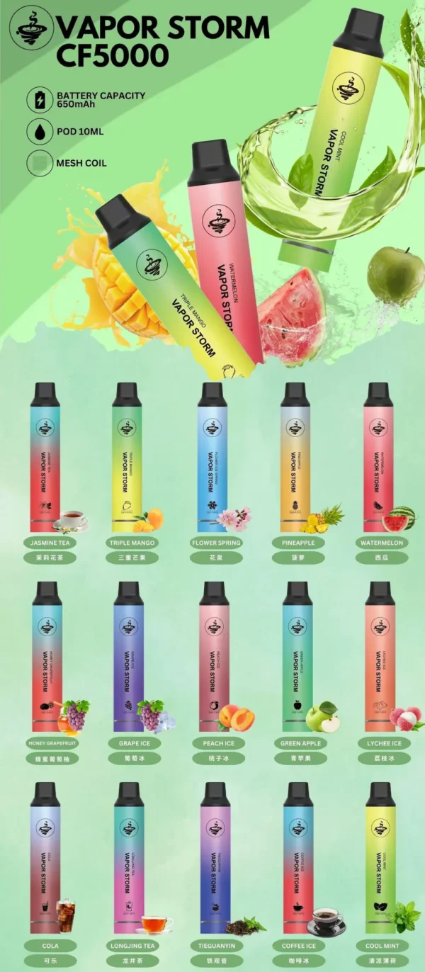 WP風暴.webp VAPOR STORM風暴 5000口拋棄式電子煙|Mesh網芯大容量,650mAh可充電,台灣正品現貨快速出貨