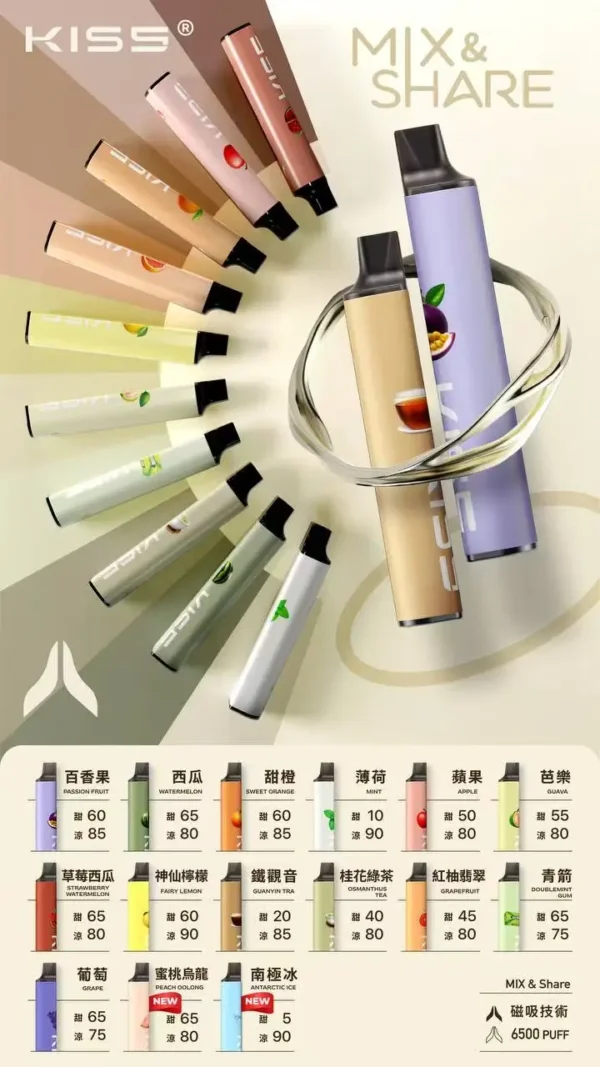d624883724837515a48c1e82e103a222.webp KIS5 鎧斯 6500口拋棄式|雙芯磁吸防漏,Type-C快充,台灣正品現貨快速出貨